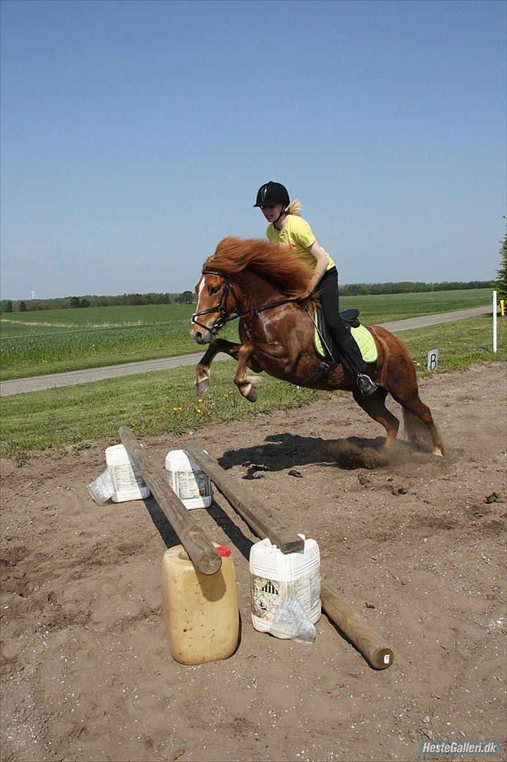 Islænder .:Gaski Fra Stokbro:. .:Perlen: *Mors* - Seje Perlen!:D

Foto: Pernille Hansen billede 15