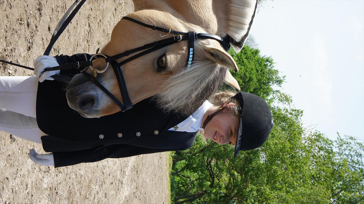 Fjordhest Florian Skovå - Inden den sidste procent-klasse til DM! Vi kigger på DM junior spring :-) billede 3