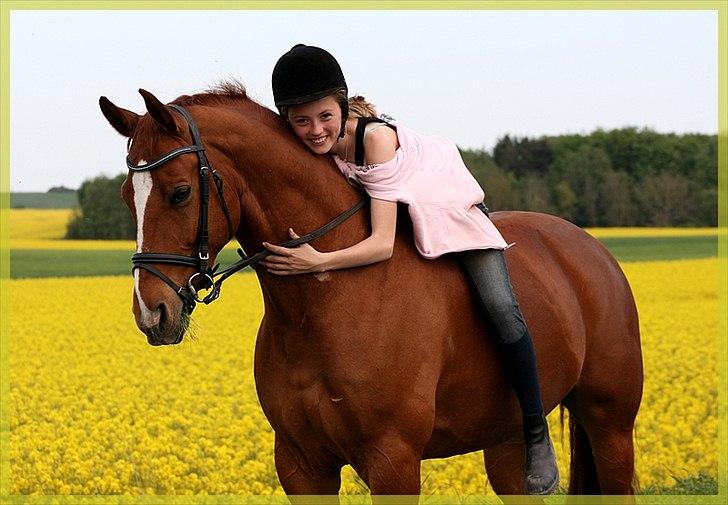 Dansk Varmblod Gullhøjs Limano - En dag tog jeg mig selv i at smile uden grund. Så indså jeg at det var fordi jeg tænkte på dig. <3 billede 1