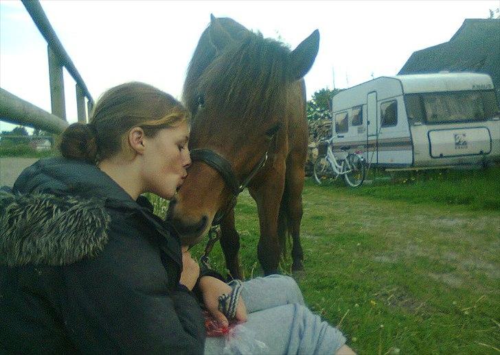 Gotlandsruss Gabriel Gross - Gabriel Gross og Manja Berlenborg since 22.04.12, jeg elsker dig til Pluto og tilbage! billede 8