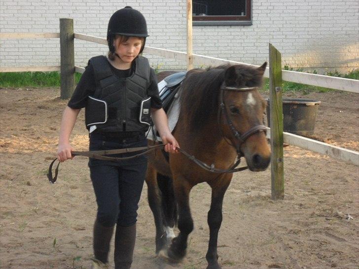 Anden særlig race Mia - NYT  billede 1