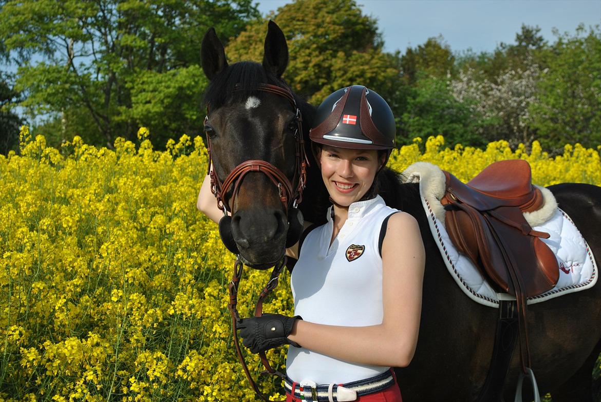 DSP Tovdal´s Ace of Diamonds B-PONY solgt - Elsker dig for evigt, min stjerne <3  billede 1