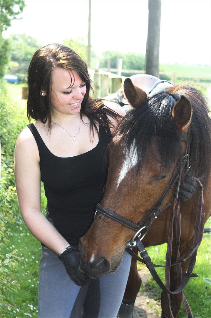 Welsh Cob (sec D) Rambo. - At den person man troede var ens ven, var falsk.
At det man troede man kunne stole på den person man havde betroet sig til, var en løgn.
At den person man troede ville være der for en, når tiderne var sværest, faktisk ikke var der.
Så kommer du! <3 billede 17