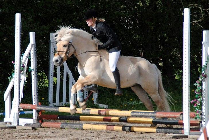 Fjordhest Odin - Maj 2012 Nibe. Haha, LF bareback! 0 fejl = roset til os hahahah <3 billede 5