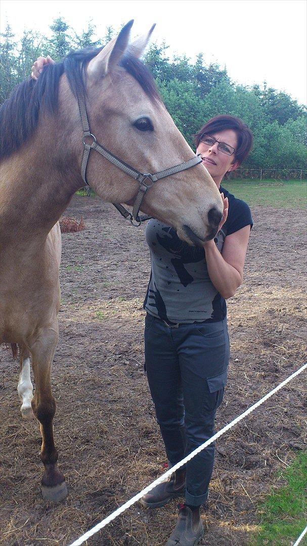 Anden særlig race Camino - Hos denne skønne kvinde er vi opstaldet. Hende holder vi meget af!! billede 17