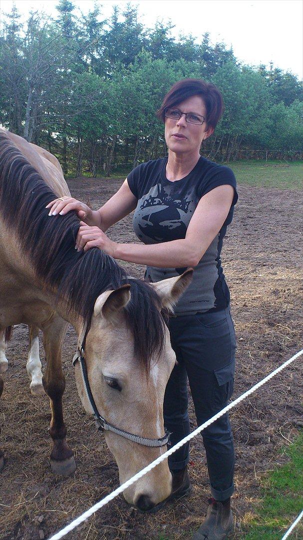 Anden særlig race Camino billede 18