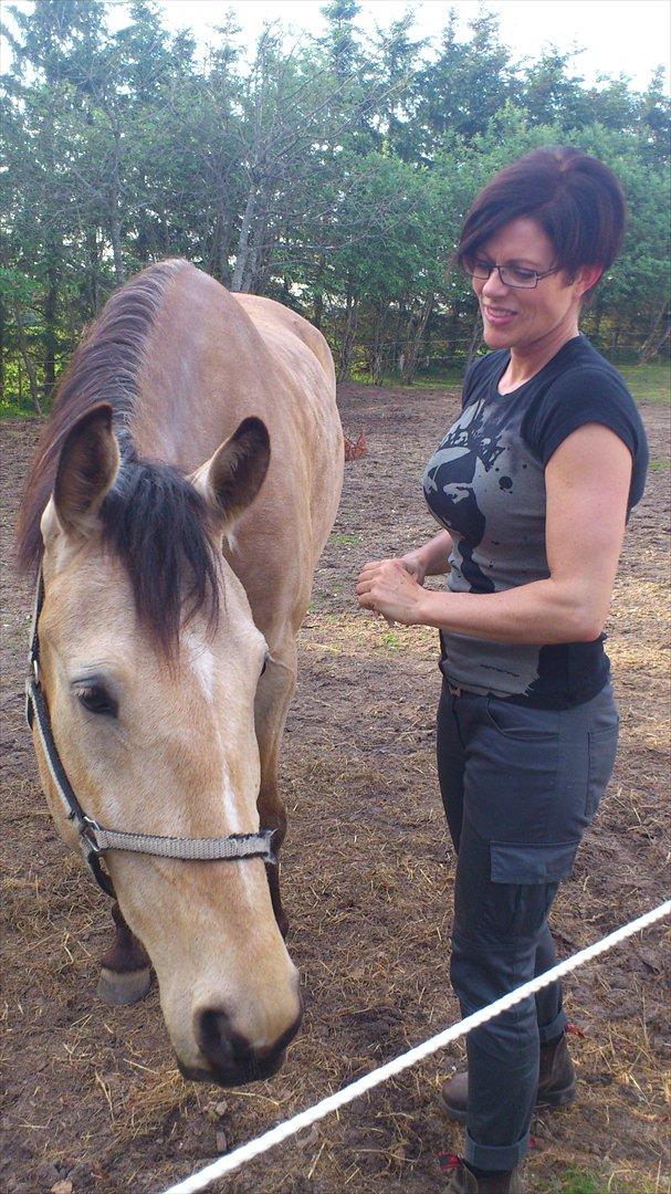 Anden særlig race Camino billede 19