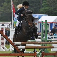 Anden særlig race Felix - B-pony