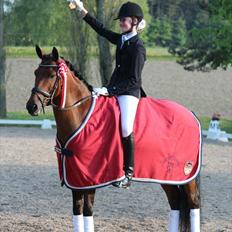 Hollandsk Sportspony Fredslunds Lenkon *A-pony*