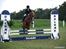 Tysk Sportspony Melonia N<3
