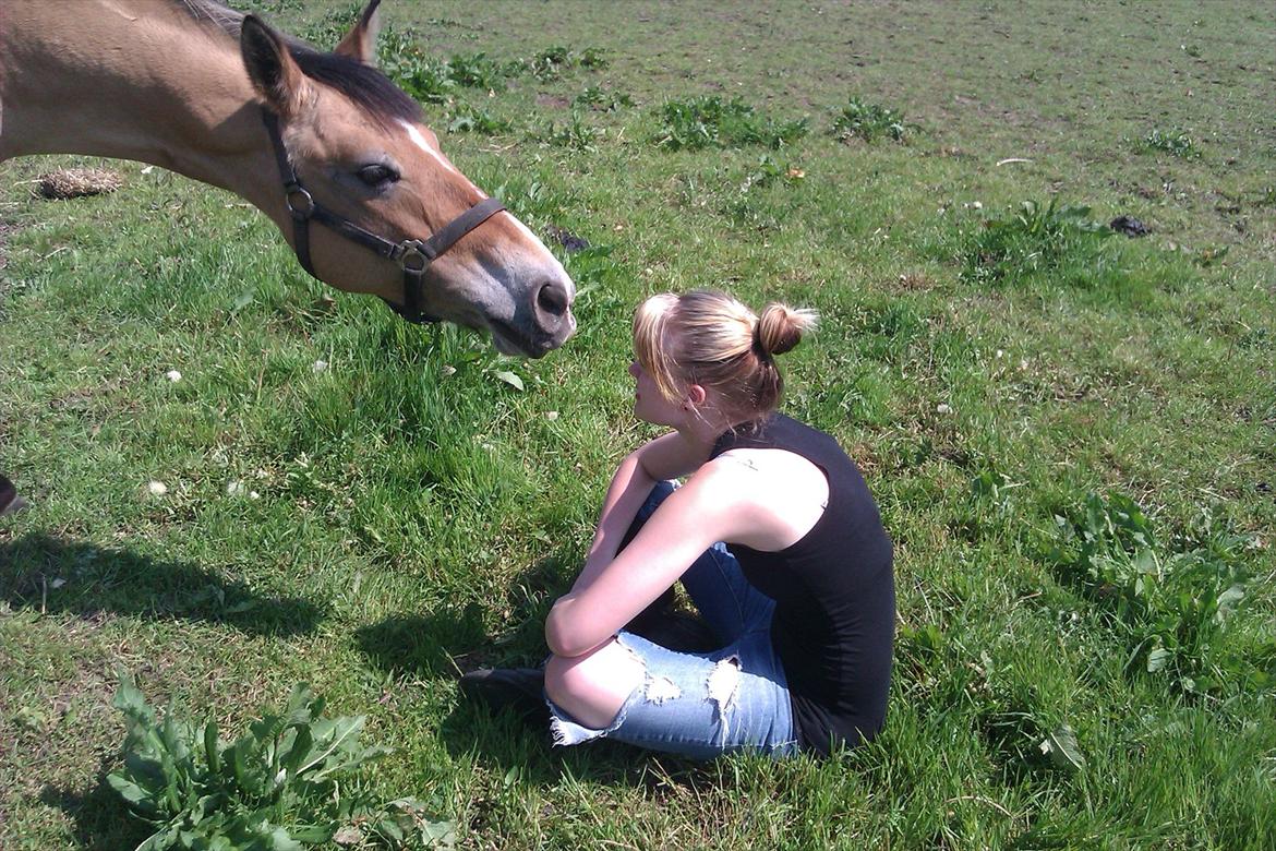 Anden særlig race Doré - Jeg kan ikke beskrive hvor meget jeg elsker dig<3
Foto: Laura Dam 21-05-2012 billede 16