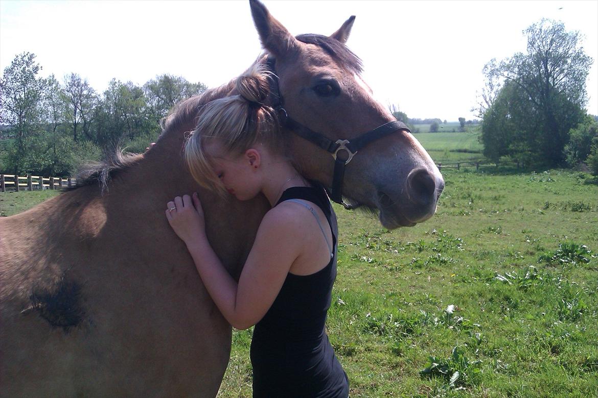 Anden særlig race Doré - Foto: Laura Dam 21-05-2012 billede 17