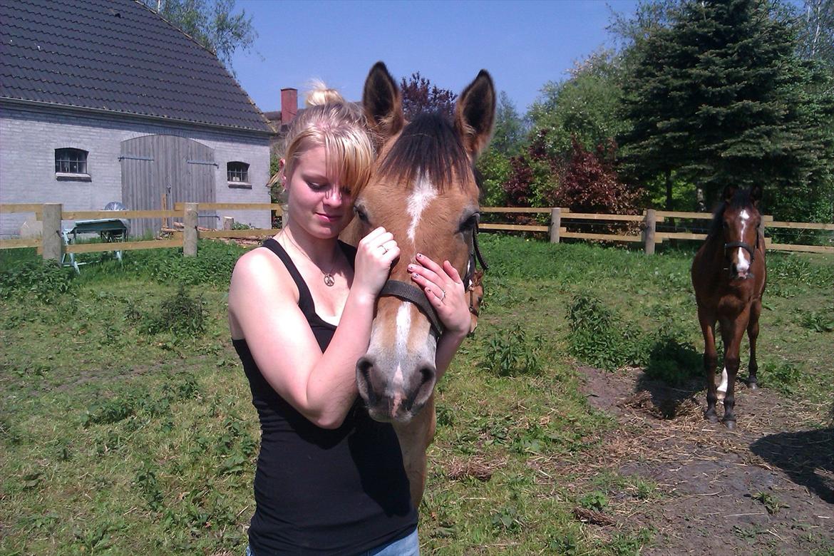 Anden særlig race Doré -  I will never forget you<3
Foto: Laura Dam 21-05-2012 billede 1