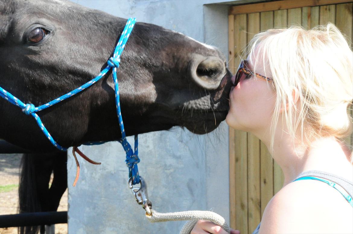 Pinto Pelé (Torriggårdens Pelè) - Min Soulmate <3 - Fordi jeg elsker dig af hele mit hjerte <3  billede 1