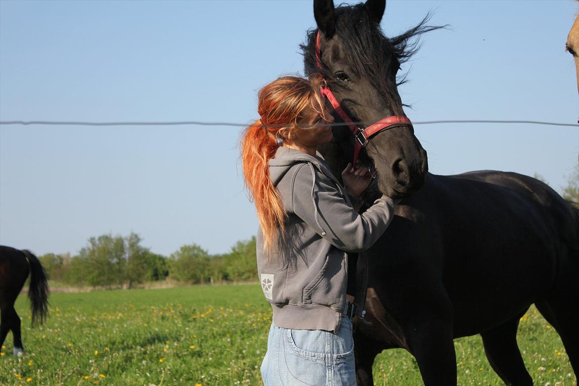 Frieser Quiny *Min baby kommer hjem igen <3 * billede 2