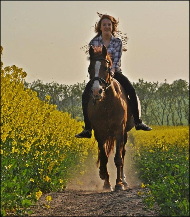 New Forest Damgårds Maja billede 13