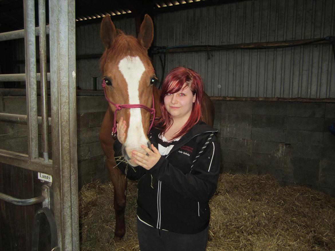 Dansk Varmblod Lanny billede 2