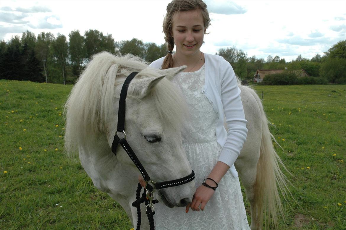 Anden særlig race Frisser [Might'N Magic] - Min helt egen Frisser<3 | Maj 2012 | Foto: Mutti. billede 11