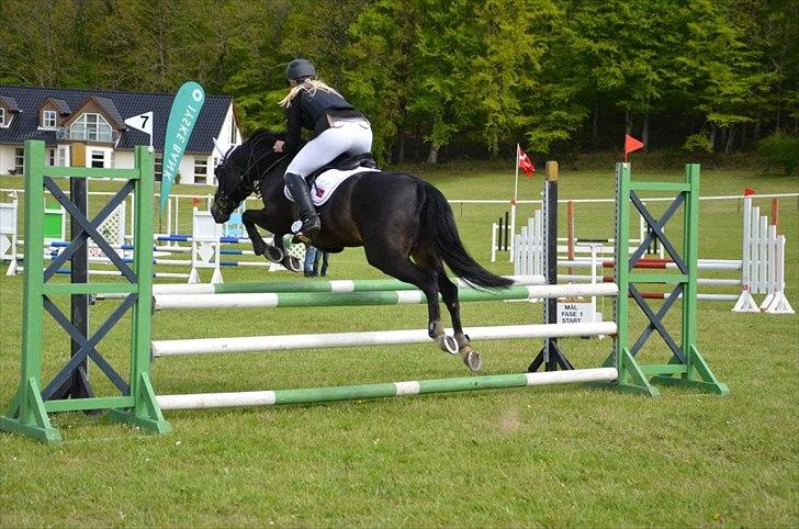 New Forest HAMBORGS EXPRESS - Morsø 2012. billede 12