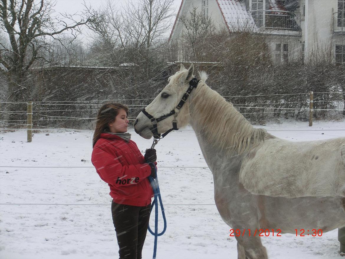 Anden særlig race Cedric Vasseur - VINTER!:-*<3 billede 13