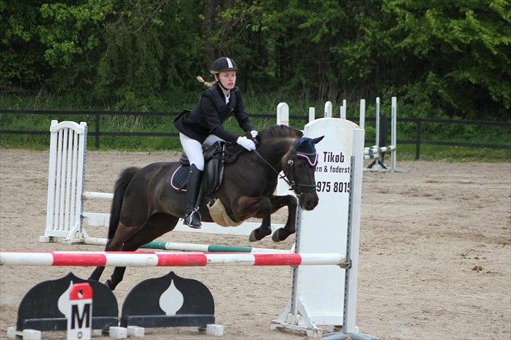 Anden særlig race Malou - LB* 1 plads :D Foto: Simone S billede 8