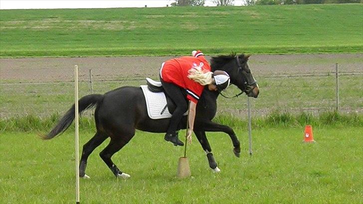 DSP Fredbo´s Image - MGA Træningsstævne 12. billede 18