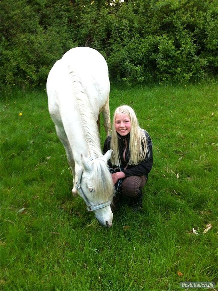Anden særlig race Andy billede 3