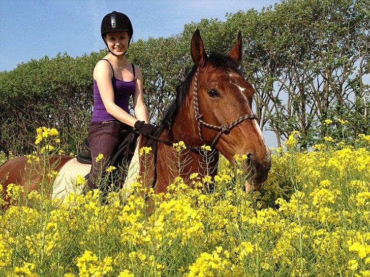 Oldenborg Yasmin (Molique) - puha, uloveligheder!
-endelig sommer!
22. maj 2012 billede 14