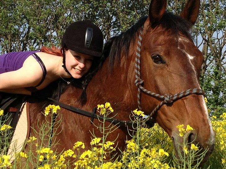 Oldenborg Yasmin (Molique) - Stjernehesten <3
22. maj 2012 billede 15