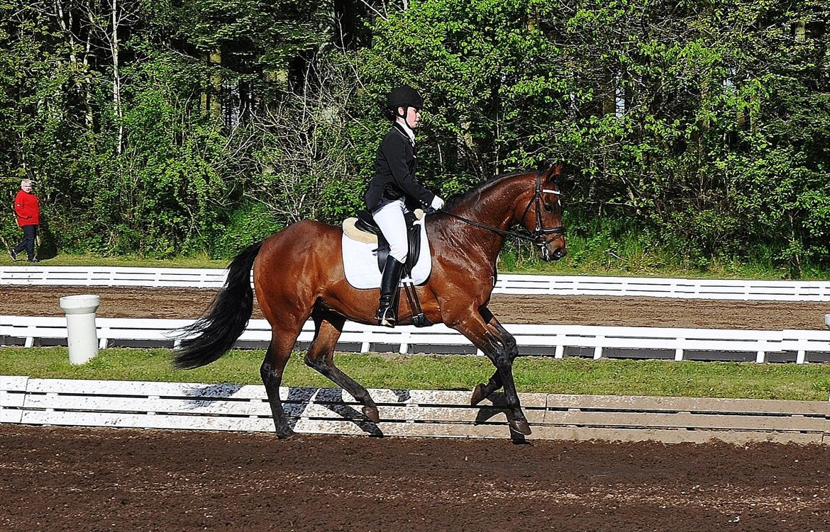 Fuldblod (XX) Sing a Long - Morsø 2012 - LA 2 ♥ billede 4