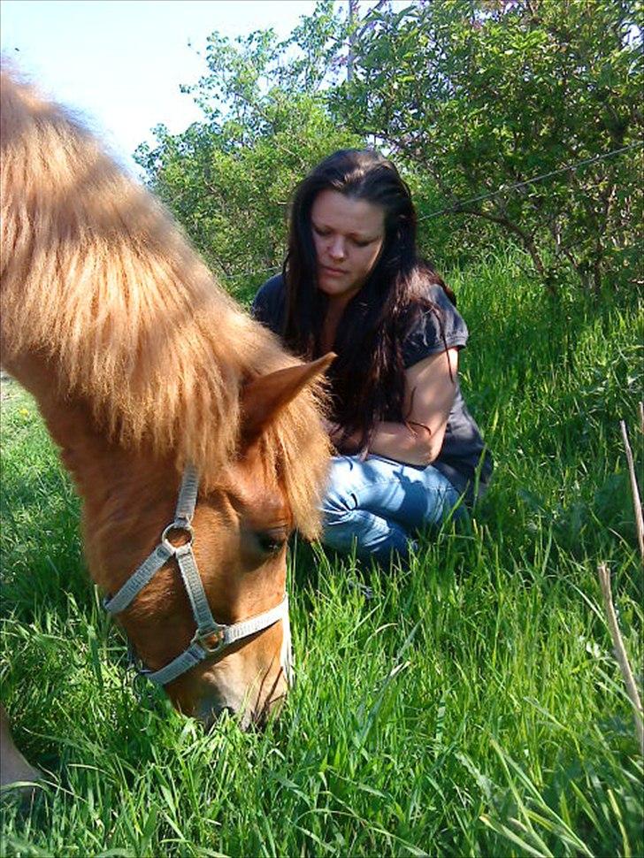 Anden særlig race Nice Surprice billede 10