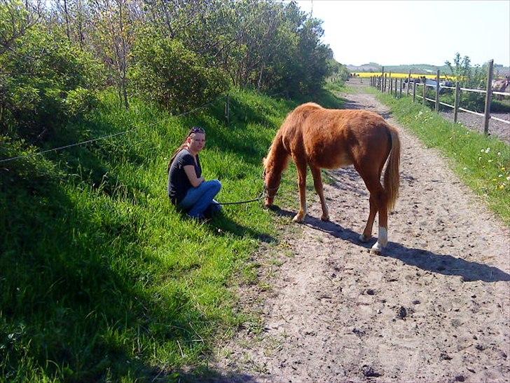Anden særlig race Nice Surprice billede 13