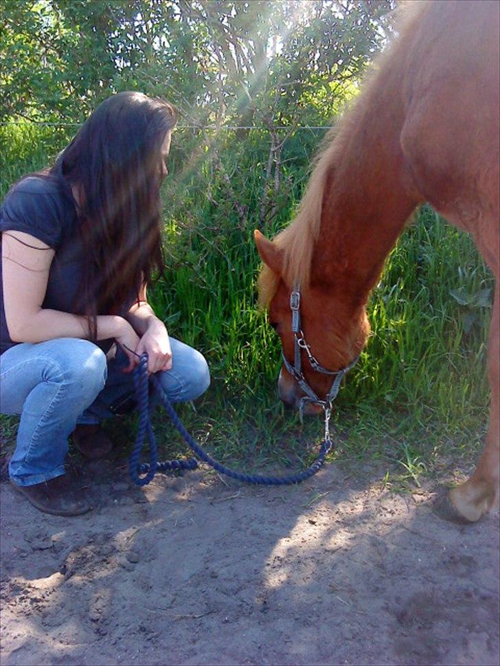 Anden særlig race Nice Surprice billede 14