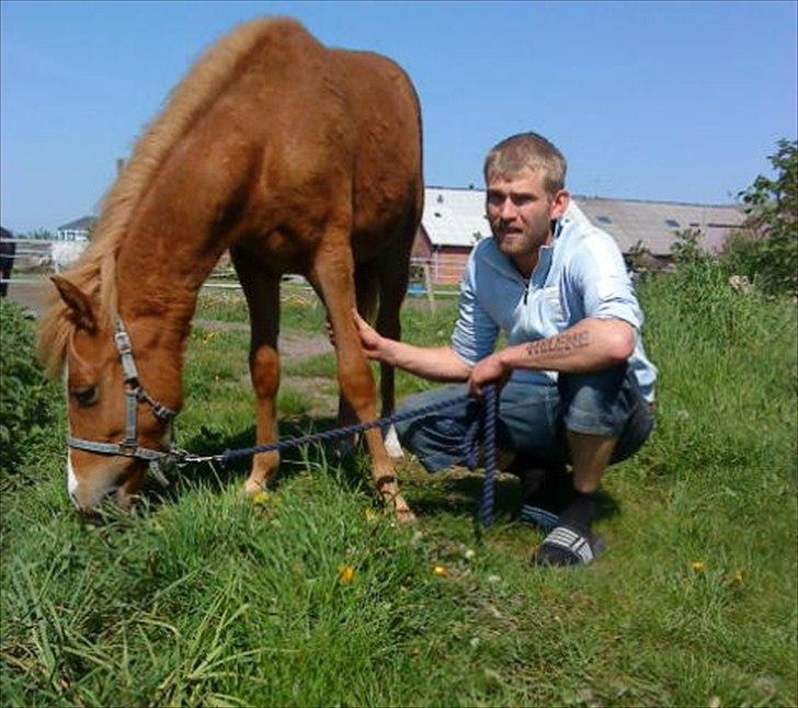 Anden særlig race Nice Surprice billede 9