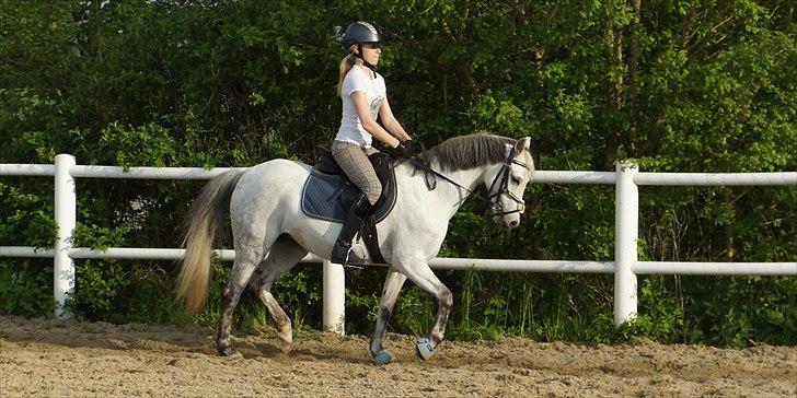 Anden særlig race Jasmin*Solgt )':* <3 billede 8