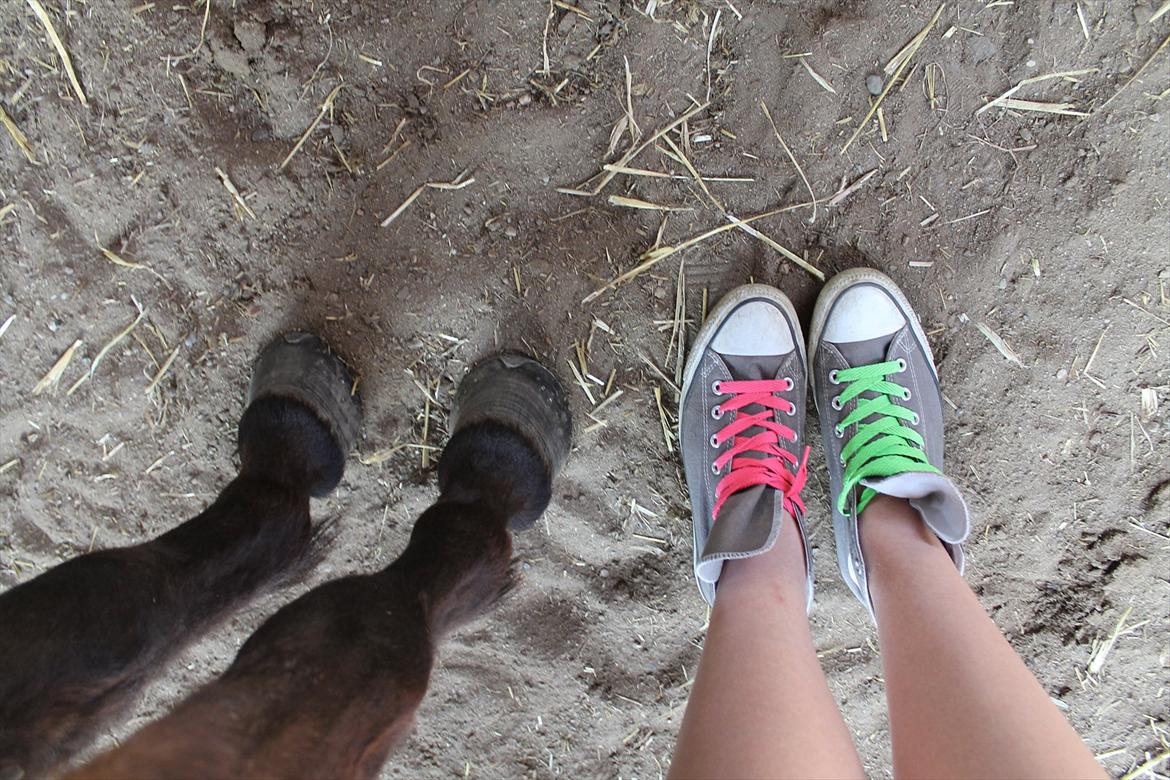 Islænder vigdis fra tågelundgård!:-* - Selvom vi er forskellige uden på, har vi det samme hjerte der banker for hinanden inden i :-* Foto: Mig billede 3