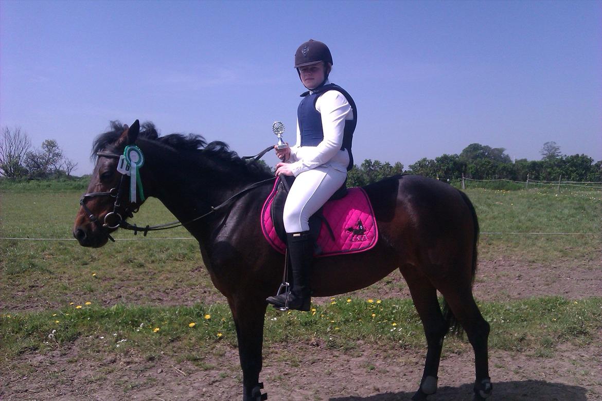 Anden særlig race Molly *Mit liv<3* - Spring stævne 23/5 2012 
3 plads og en pokal dygtig pony<3
Elsker hende så meget<3 billede 11