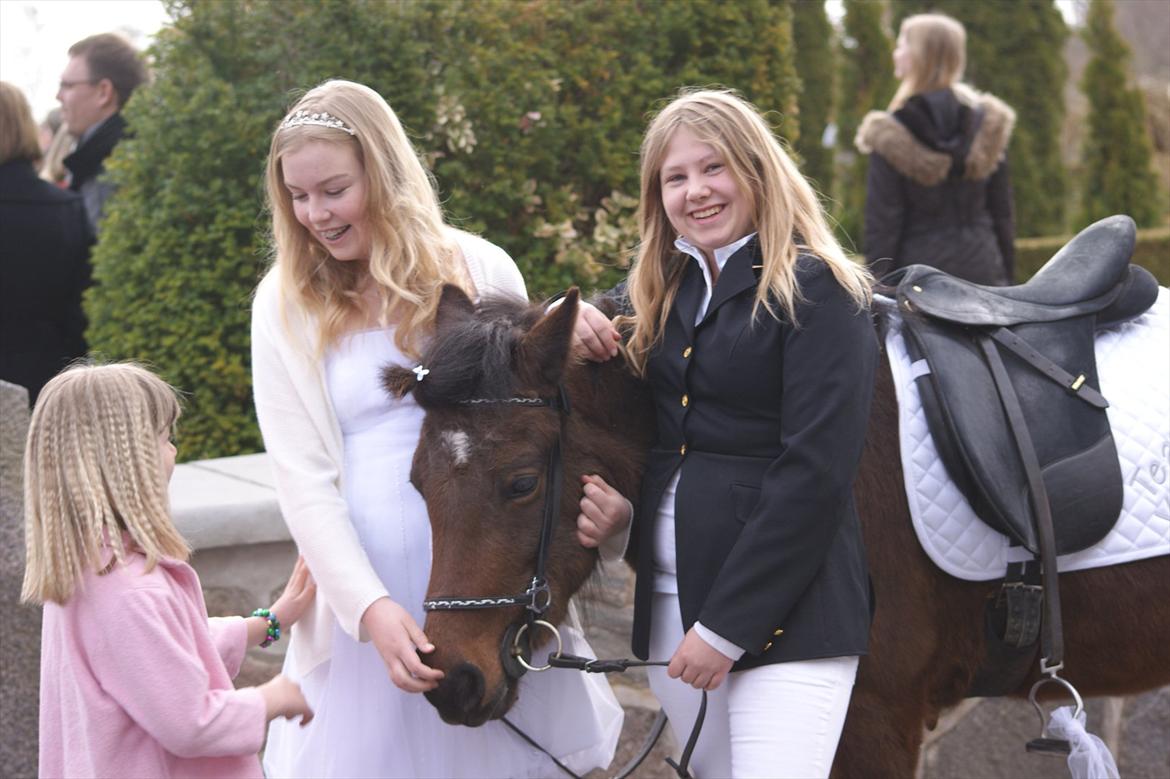 Islænder vigdis fra tågelundgård!:-* - Der stod du, så fin og gjort fot af Bekka og Livse :-* ELSKER JER TRE! :-DD<3<3 Foto: LMC billede 5