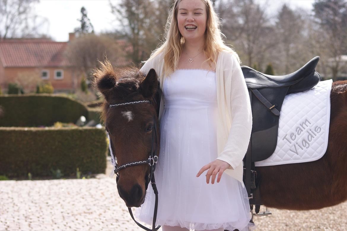 Islænder vigdis fra tågelundgård!:-* - Min smukke pony:-* Foto: LMC billede 14