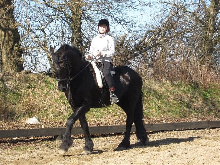 Frieser sietske van de sweach billede 7