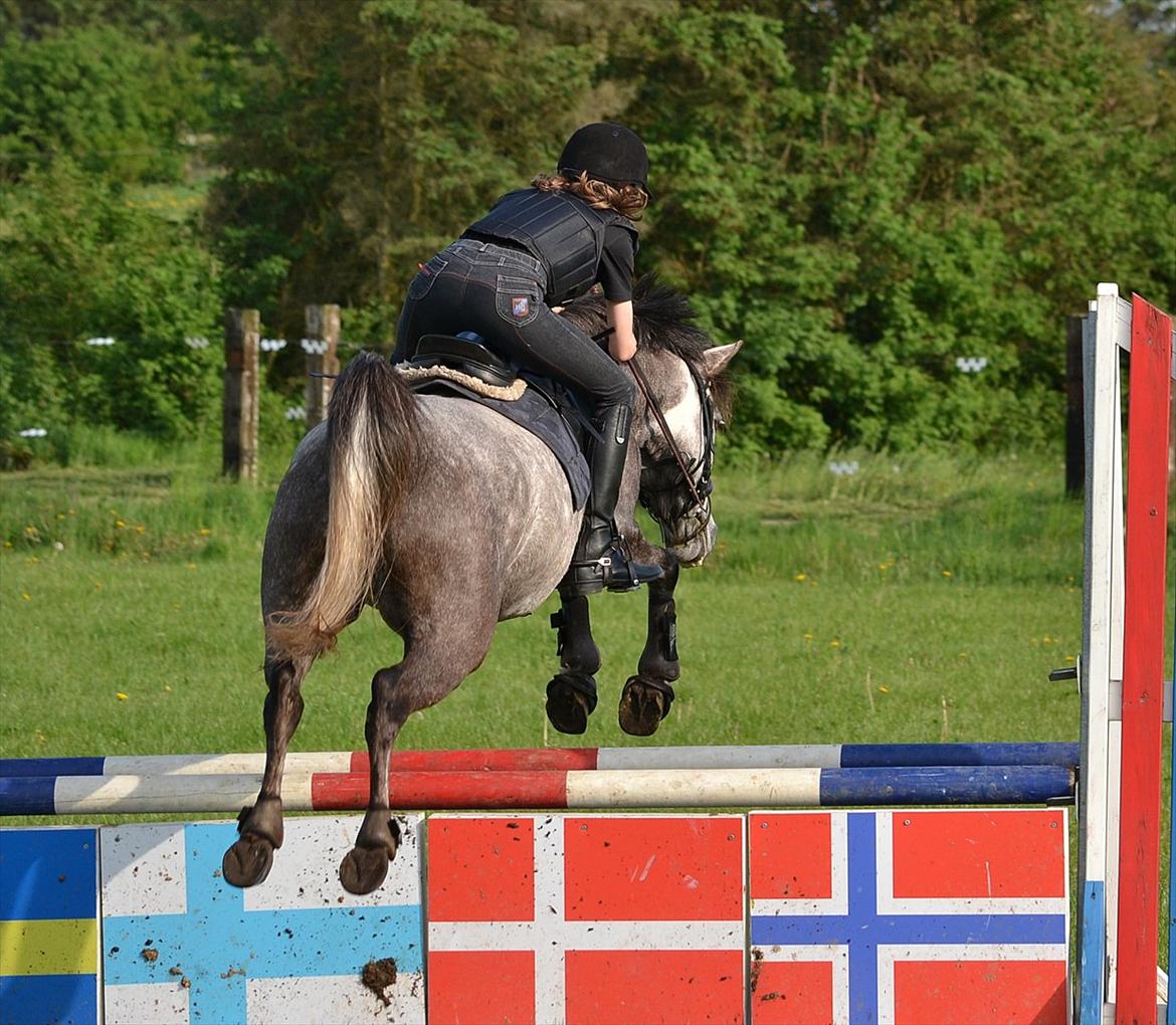 Anden særlig race Dolf - Goodbye :)
Læg gerne en kommentar og bedømmelse inden i går :) billede 20