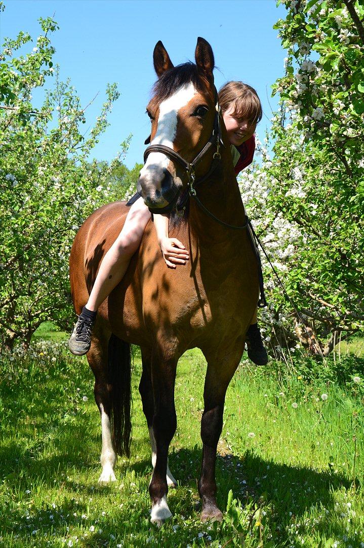 Pinto Vognbjergs Picasso billede 19