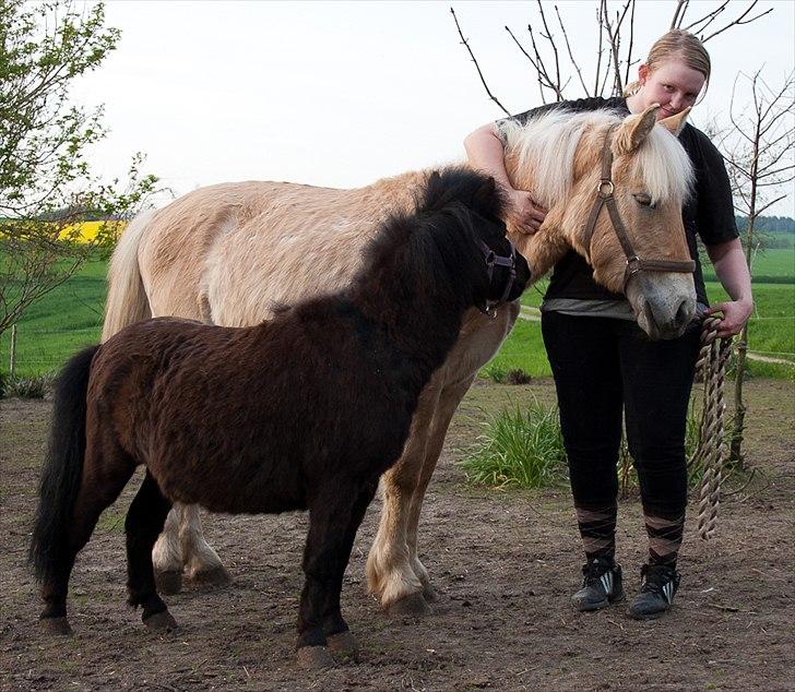 Anden særlig race ~ Lille Anton ~   - Familiehygge.. <3 billede 5