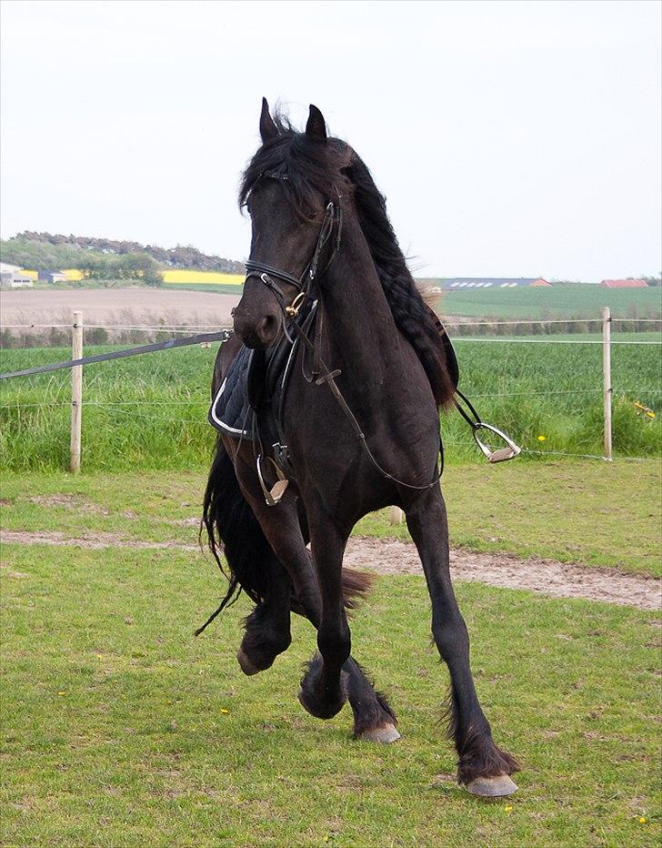 Frieser Eeke Van De Stoerstrang - Hun BLÆRE sig lige lidt...!!  billede 14