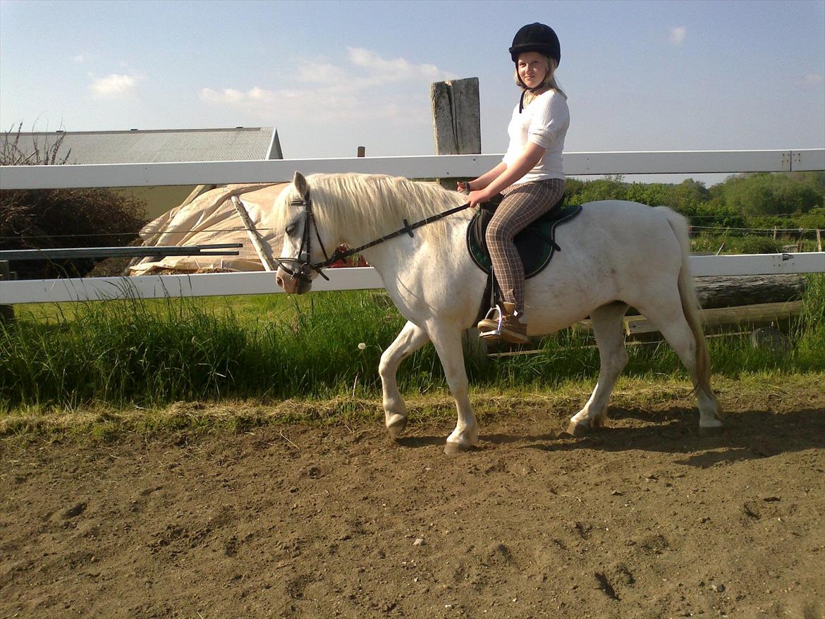 Anden særlig race Bella <3 Hvil i fred  <3 - 23.05.12 billede 11