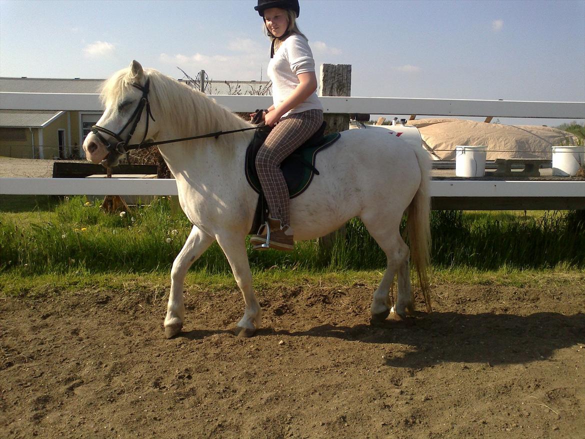 Anden særlig race Bella <3 Hvil i fred  <3 - 23.03.12 billede 9