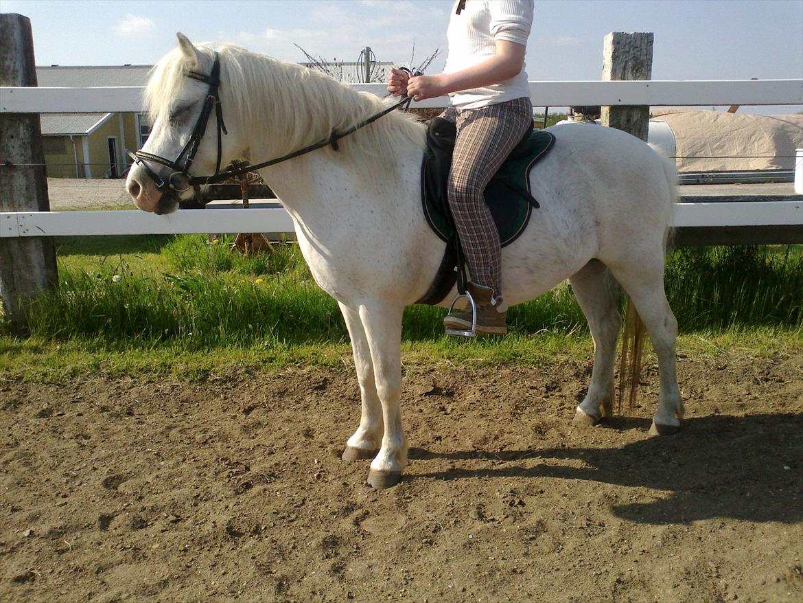 Anden særlig race Bella <3 Hvil i fred  <3 - 
23.05.12 billede 8