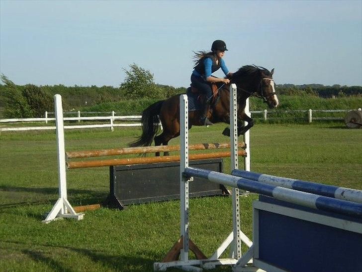 Anden særlig race Mr. Malibou billede 7