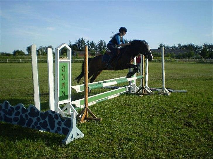 Anden særlig race Mr. Malibou billede 8