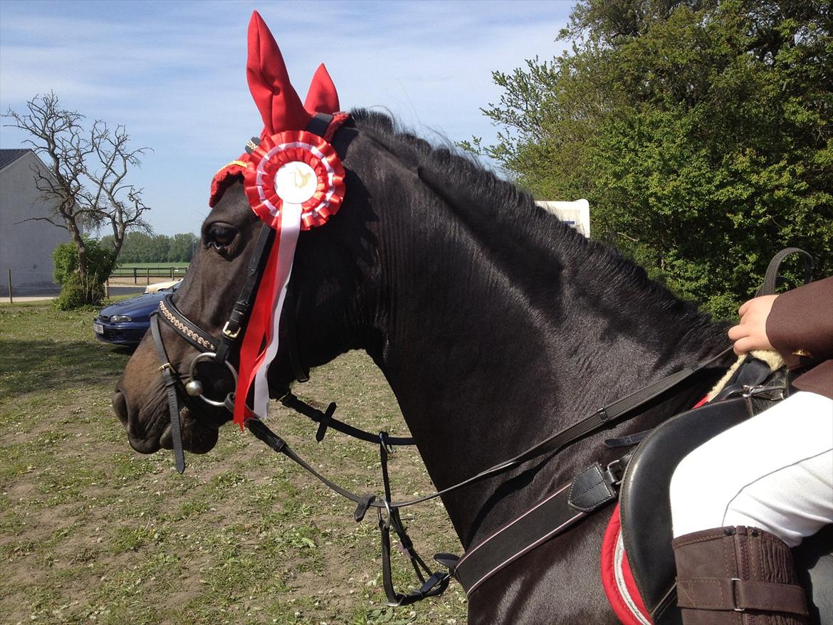 New Forest monica søblink<3 (solgt):'( billede 12